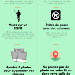 Infographie-photo-ideale